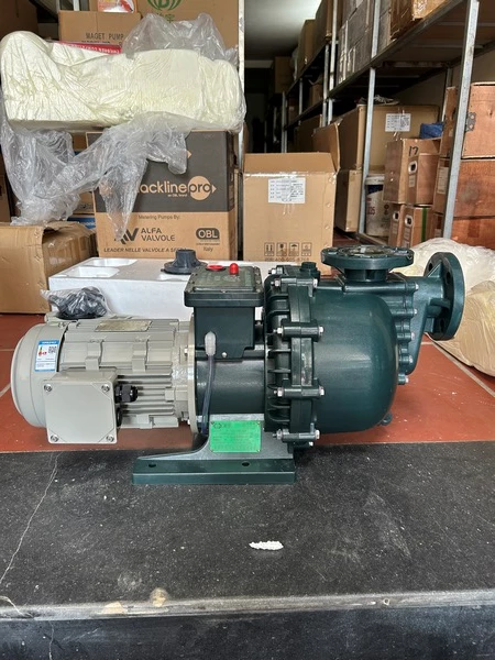 Bơm hóa chất H₂SO₄ 25%, công suất 1.5Kw 