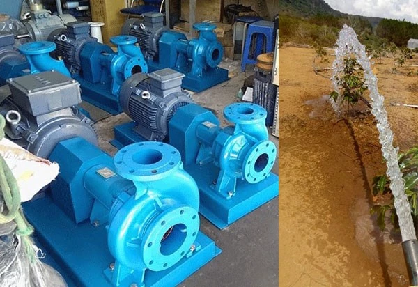 Đại lý Máy bơm nước tưới cây công nghiệp chính hãng giá tốt bảo hành 12 tháng