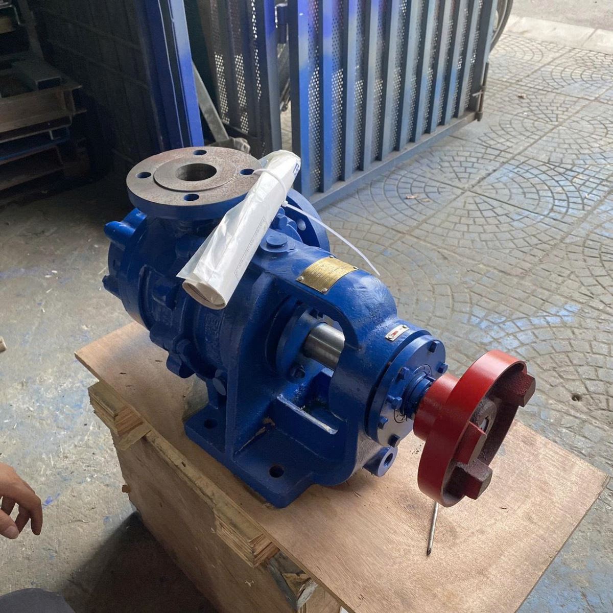 bom_banh_rang_nyp24gp